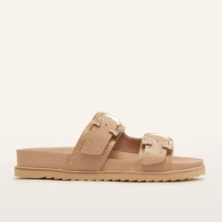 Deon Camel Stud