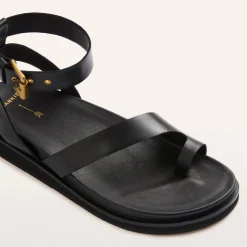 Middleton Black