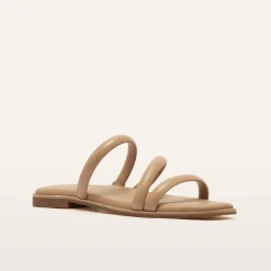 Remy Camel