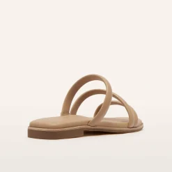 Remy Camel
