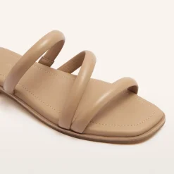 Remy Camel