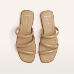 Remy Camel